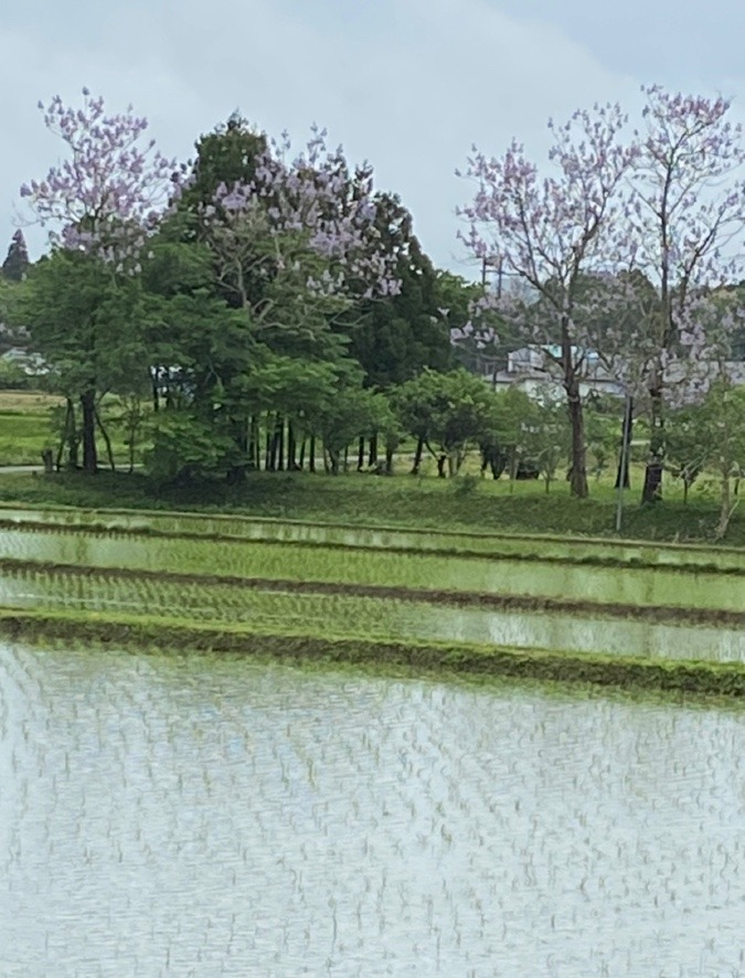 誰かのために12-《種を管理されると》