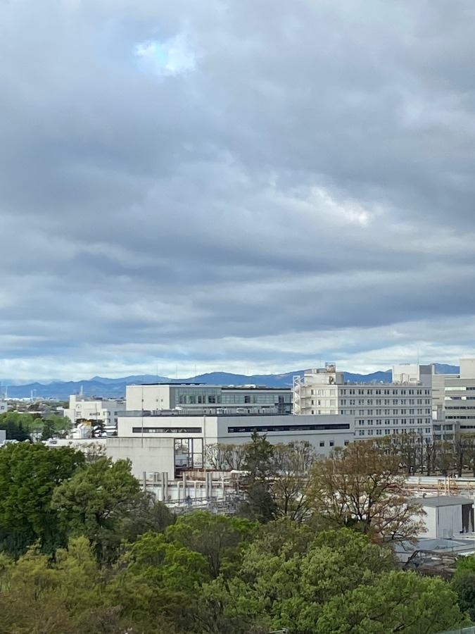 今朝の富士山