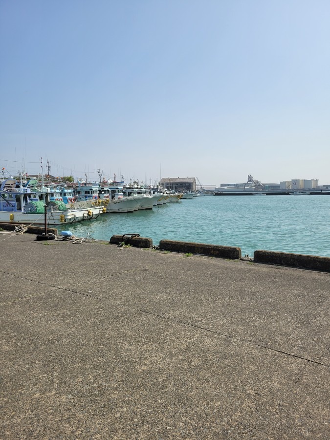 今日は大井川港まで行って来ました