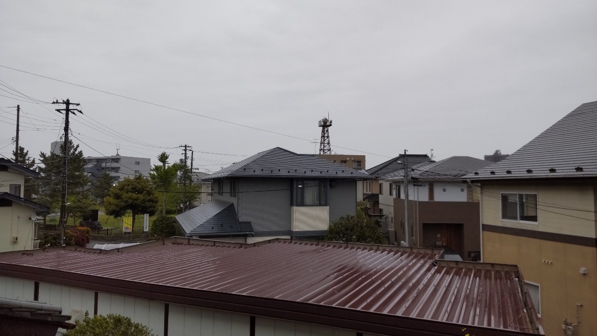 雨、風、強い一日かも。