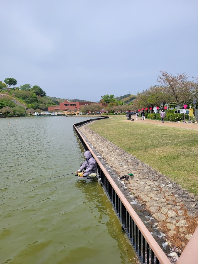 蓮華寺池で椅子に座って魚釣りをしてる方もいました