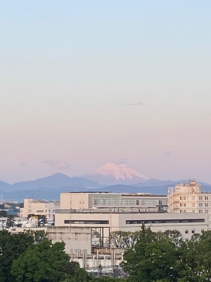 今朝の富士山