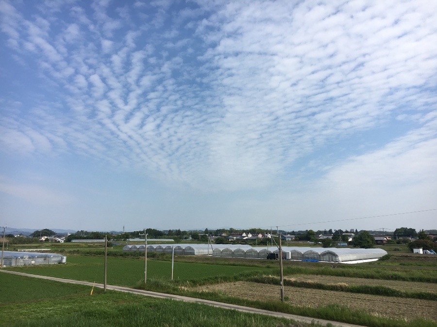 ⭕️空部→ 今日の空（≧∇≦）‼️592.