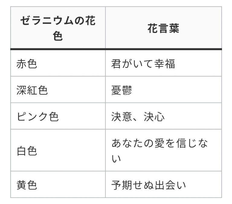 ゼラニウムの花言葉