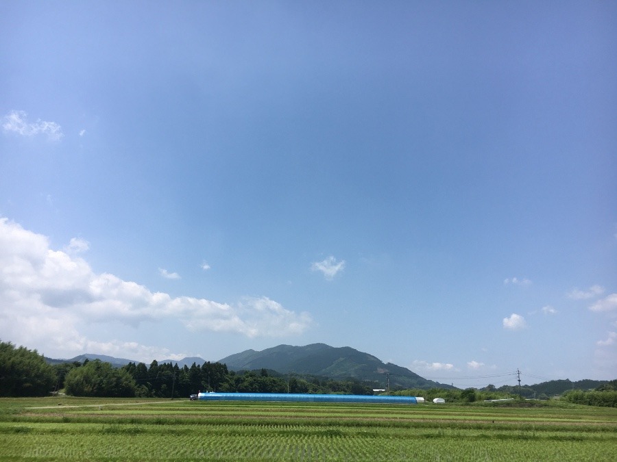 ⭕️空部→ 今日の空（≧∇≦）‼️611.