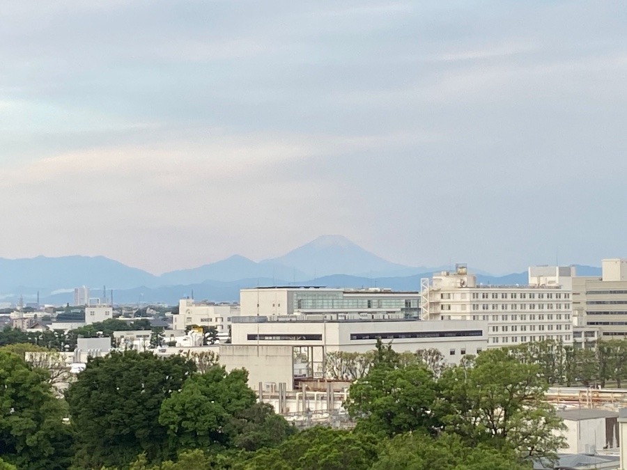 今朝の富士山