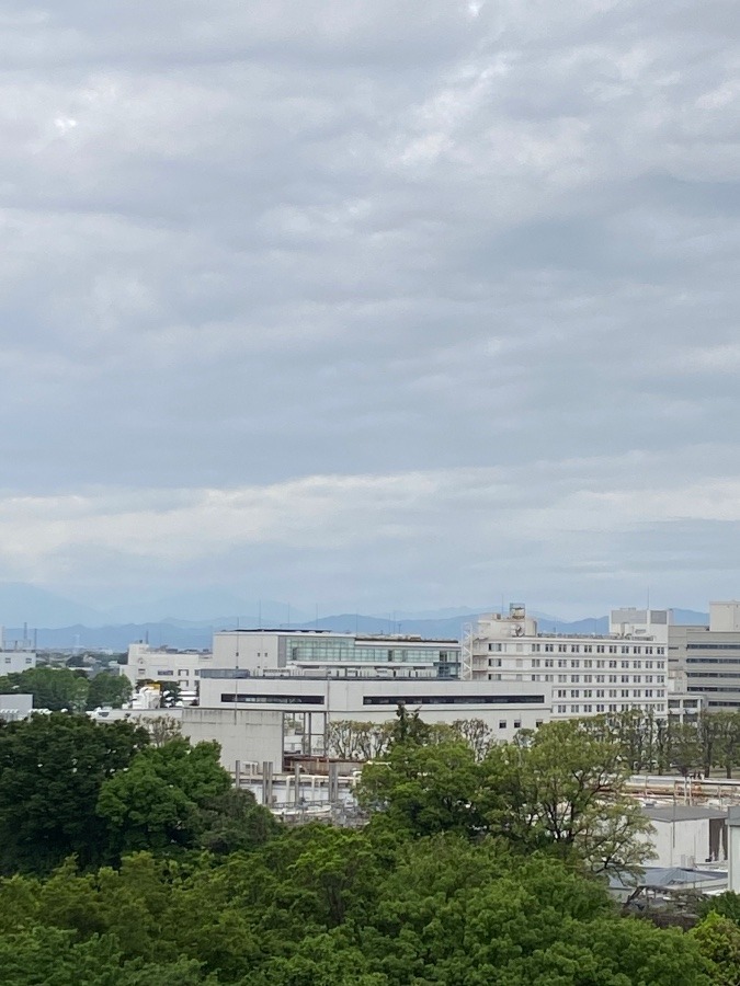 今朝の富士山