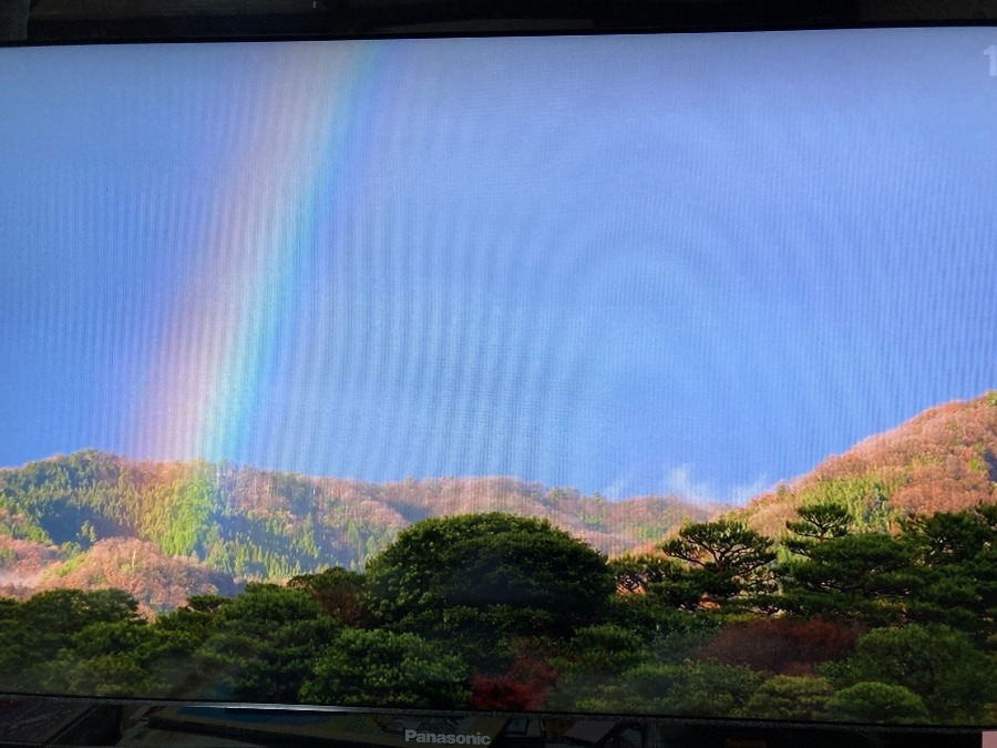 テレビで紹介された虹❣️