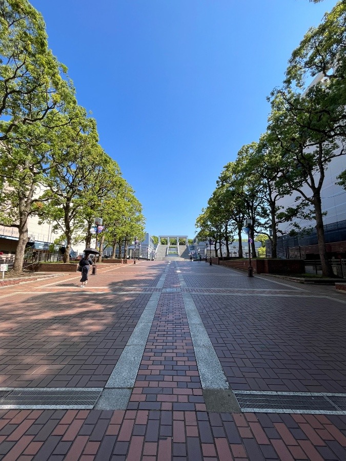 駅前通り✨