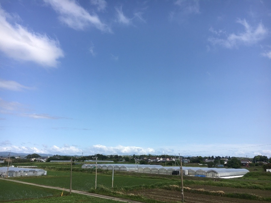 ⭕️空部→ 今日の空（≧∇≦）‼️584.