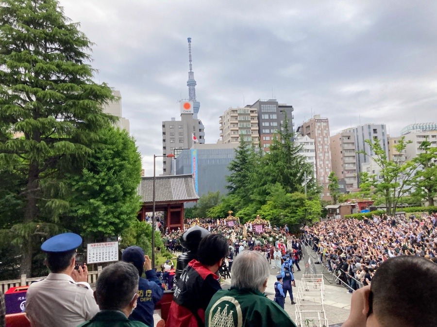 懐かしき東京③〈浅草三社祭〉