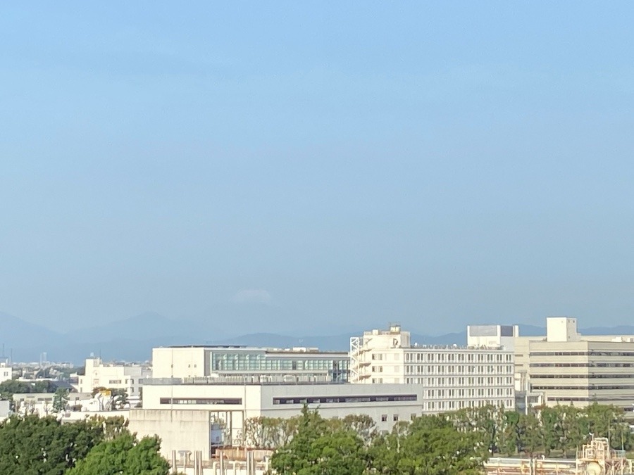 今朝の富士山