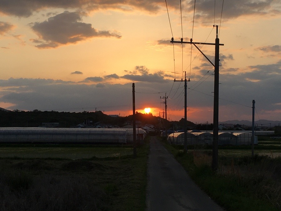 ⭕️ 夕焼け、😃