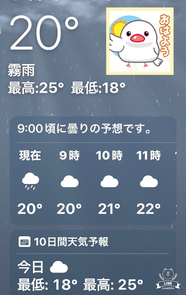 今朝の天気❣️