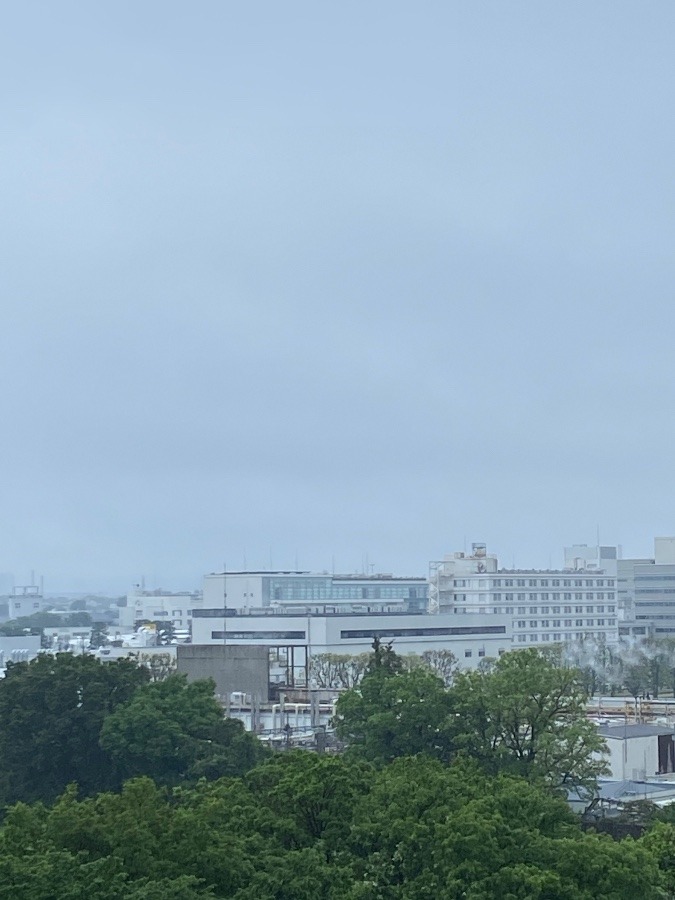 今朝の富士山