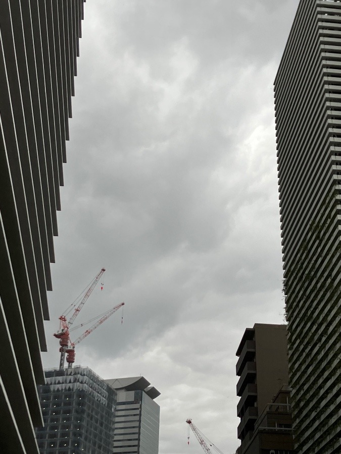 5/31 朝空