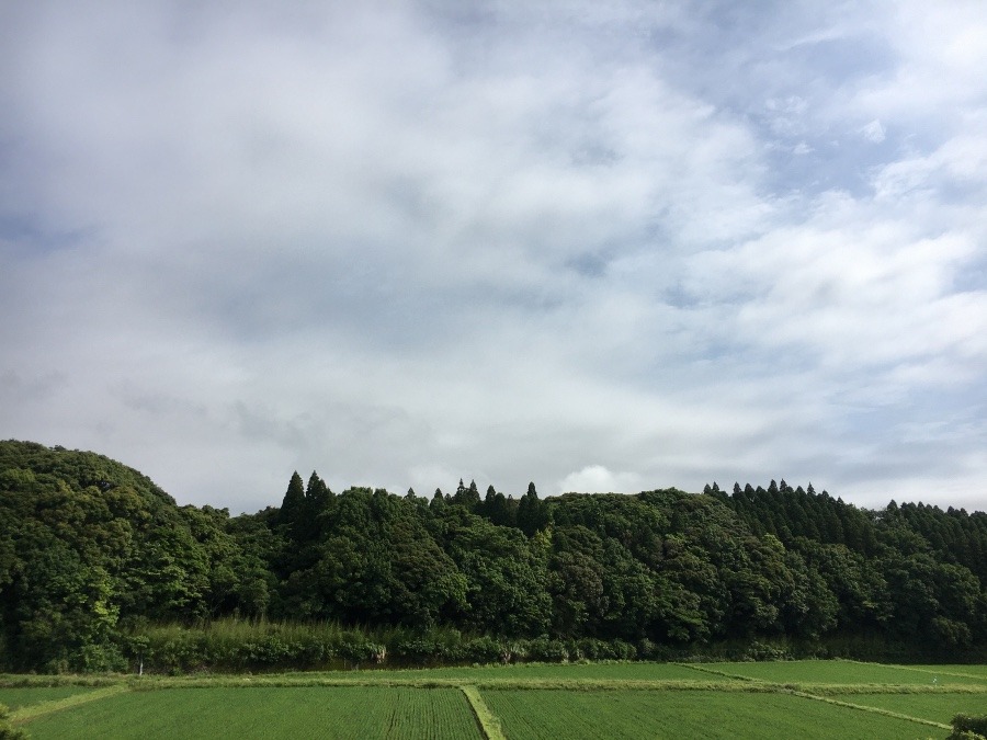 ⭕️空部→ 今日の空（≧∇≦）‼️606.