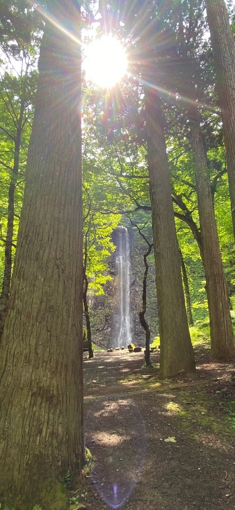 玉簾の滝⛰️