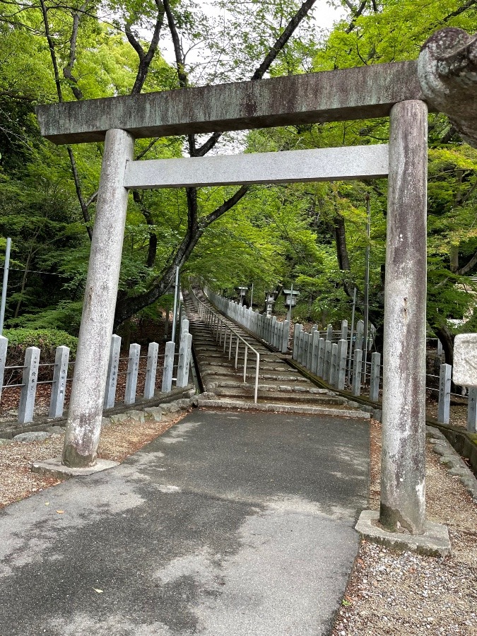 氏神様に月参り👏