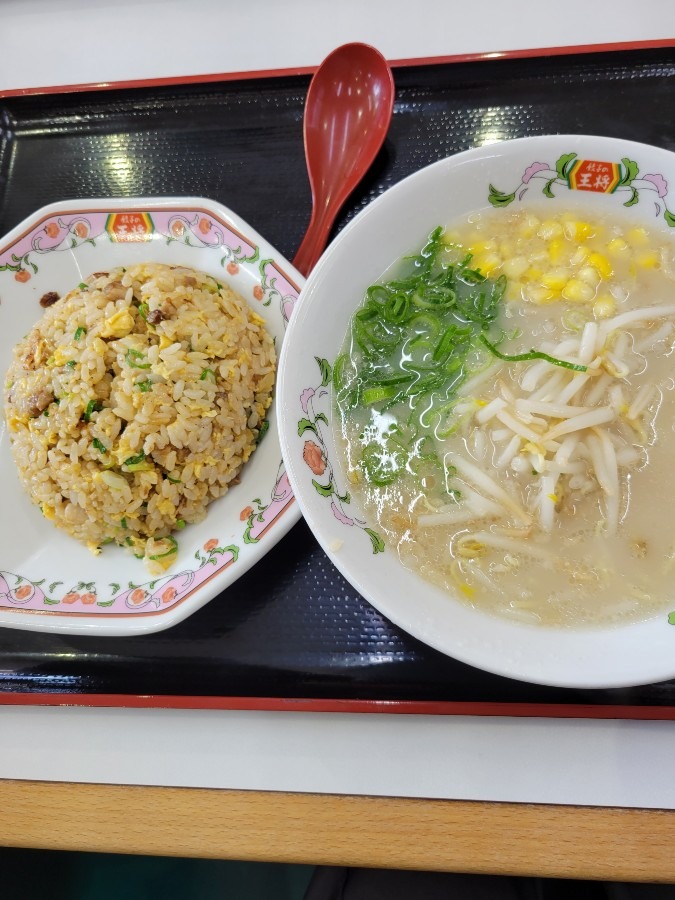 初めて餃子の王将へ行って来ました