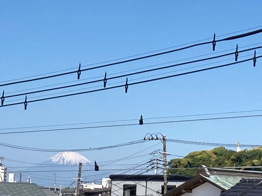 ゴールデンウィーク初日