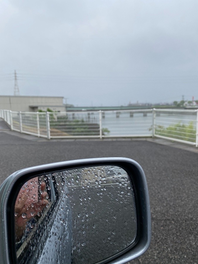 やっぱり雨でした｡、。！