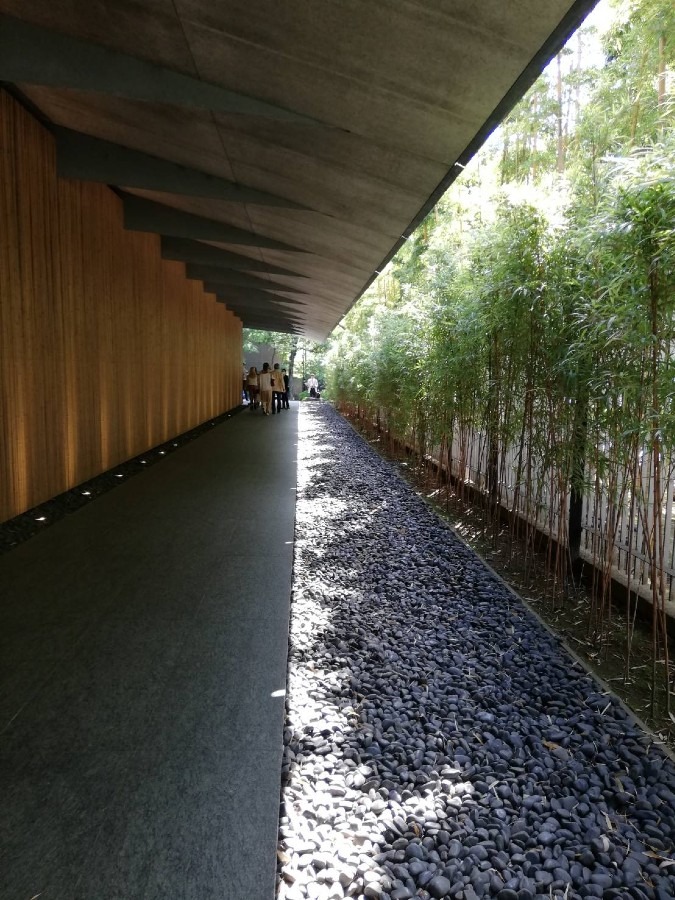 エントランス　竹林の回廊