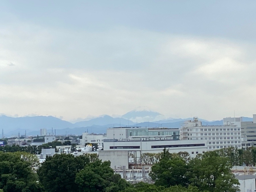 今日の富士山