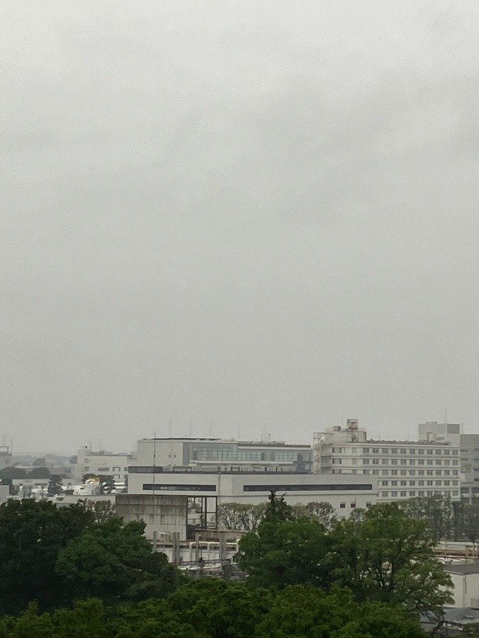 今朝の富士山