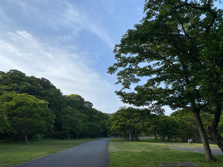 逗子の池子の森自然公園で深呼吸❣️