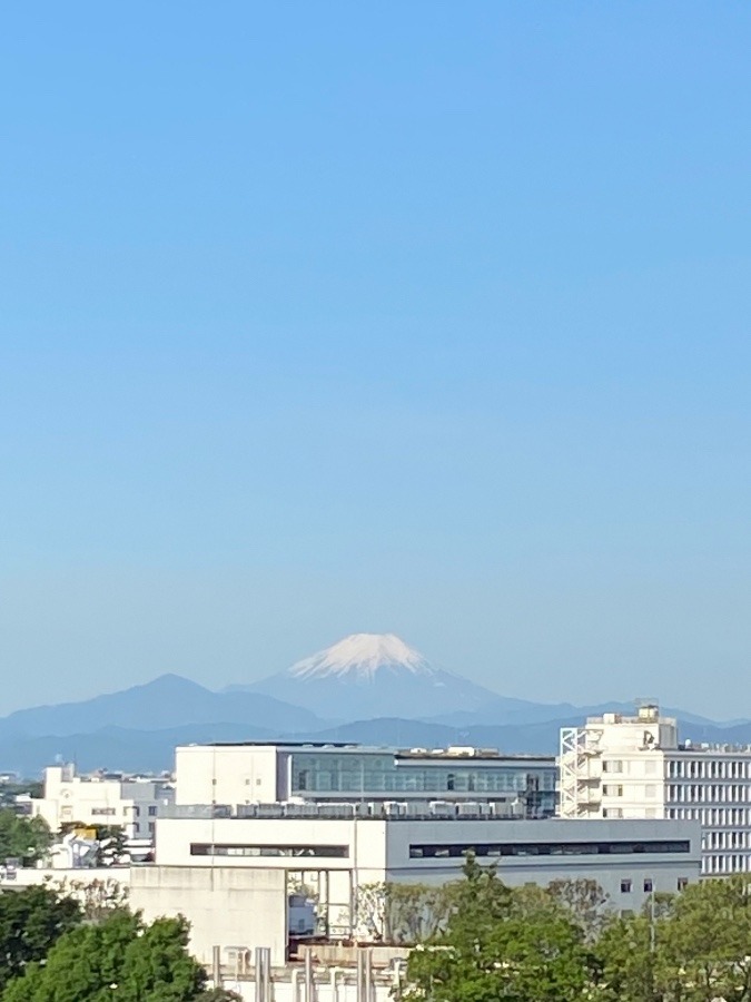 今朝の富士山