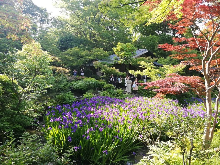 根津美術館　庭園