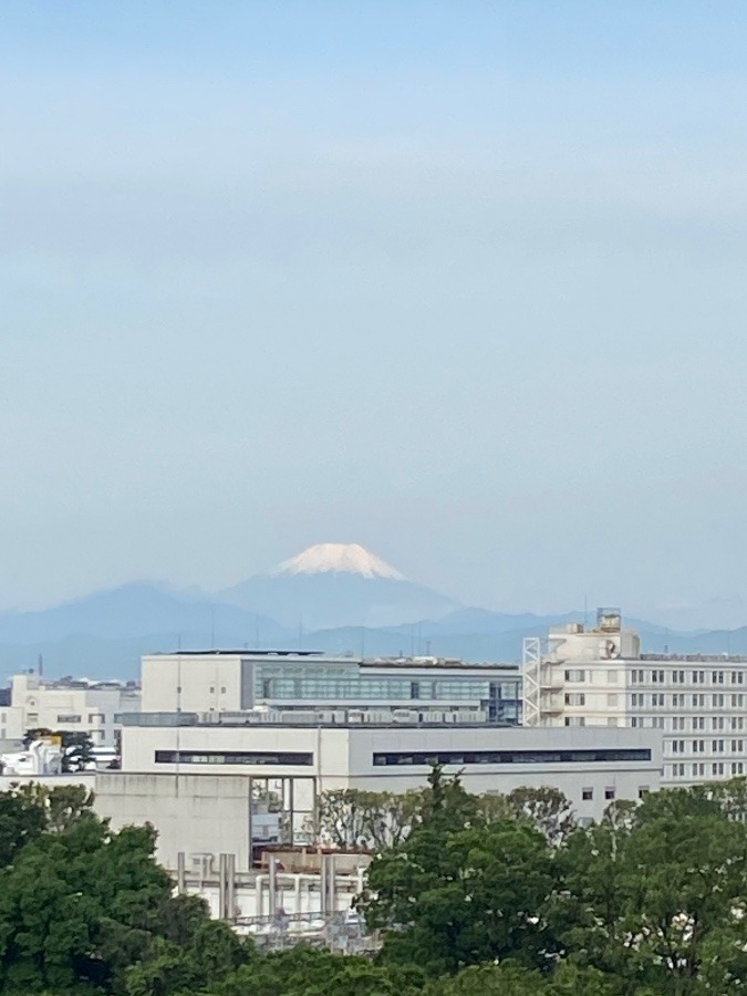 今朝の富士山