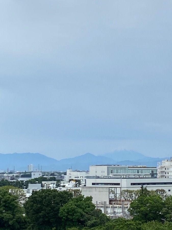 今朝の富士山