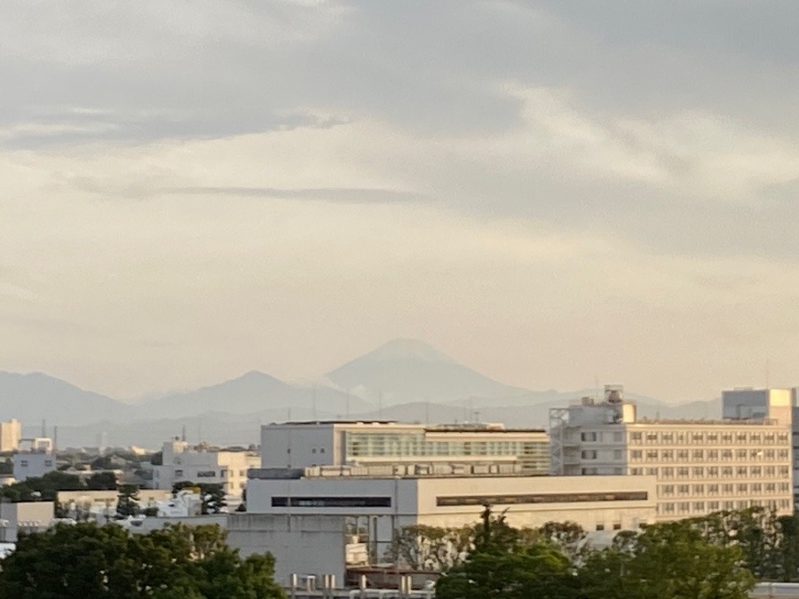 今日の富士山