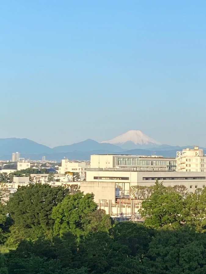 今朝の富士山