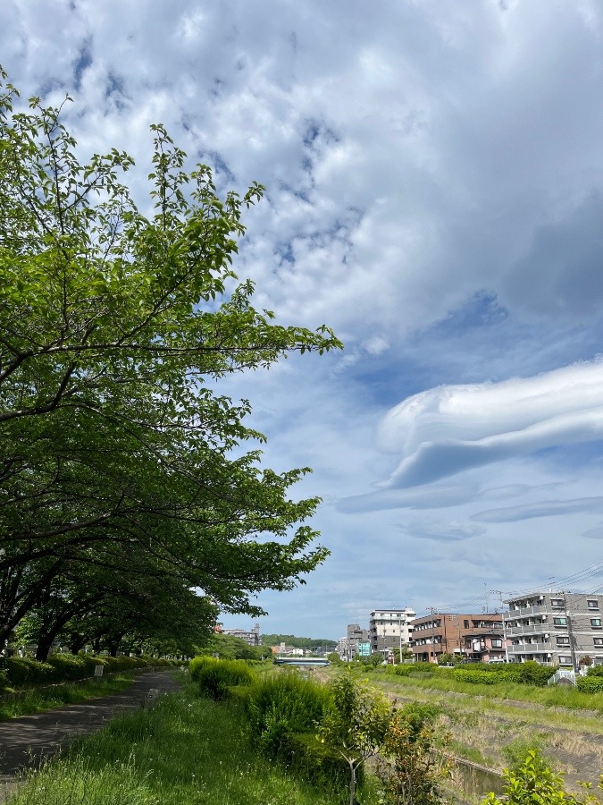 今朝の通勤路