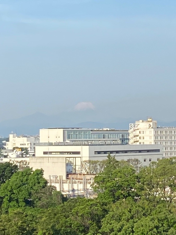 今朝の富士山