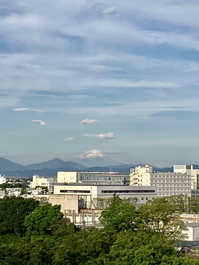 今朝の富士山