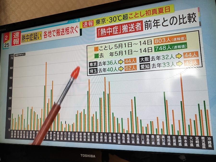 東京は30℃超え