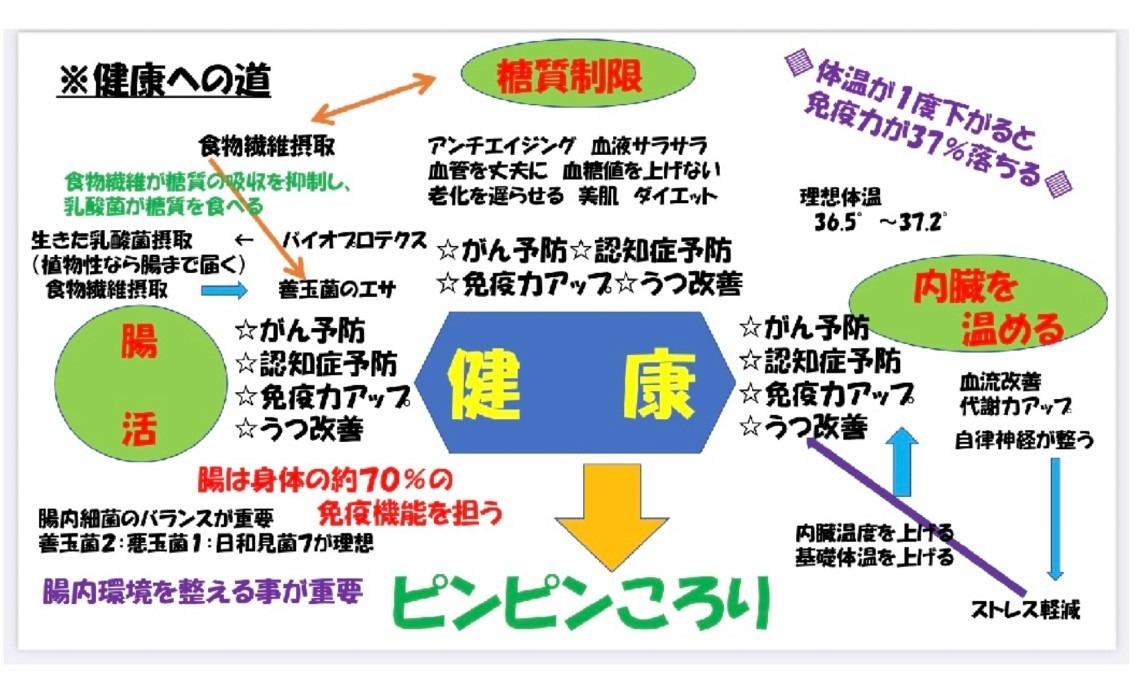 共通の目標（ピンピンころり）に向かって！Ｖｅｒ１１１　脂質３