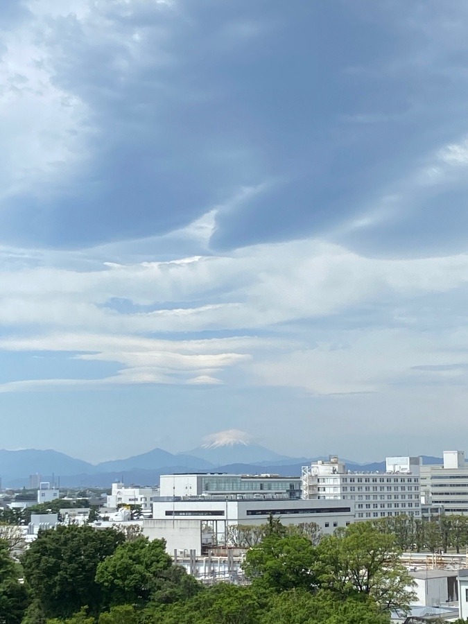 今日の富士山