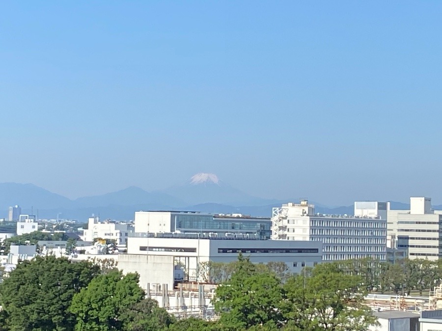 今朝の富士山