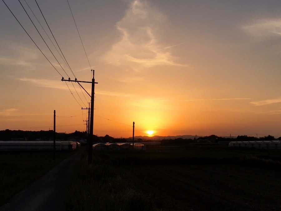 ⭕️ 夕焼け、😃