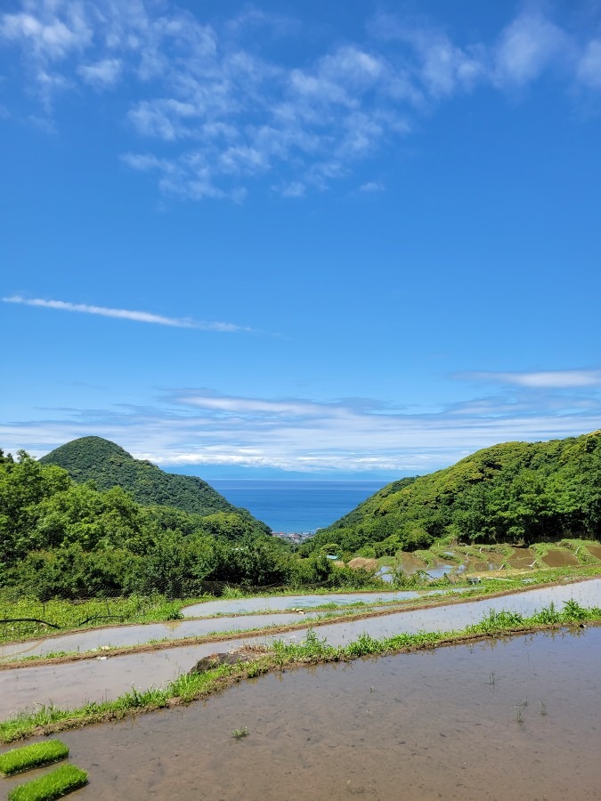 空部　活動報告　高台から見た青空と海