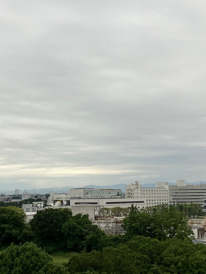 今朝の富士山