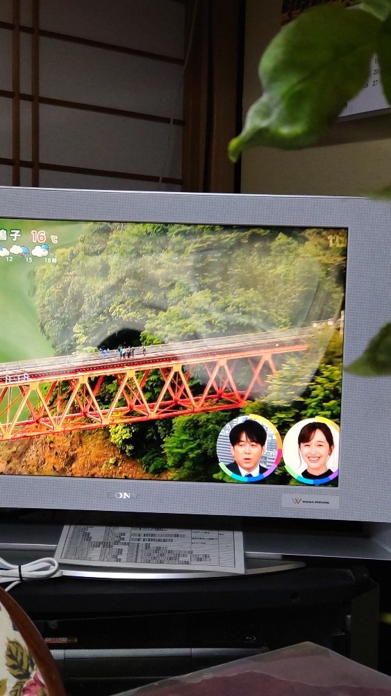 TVでの、大井川鉄橋！