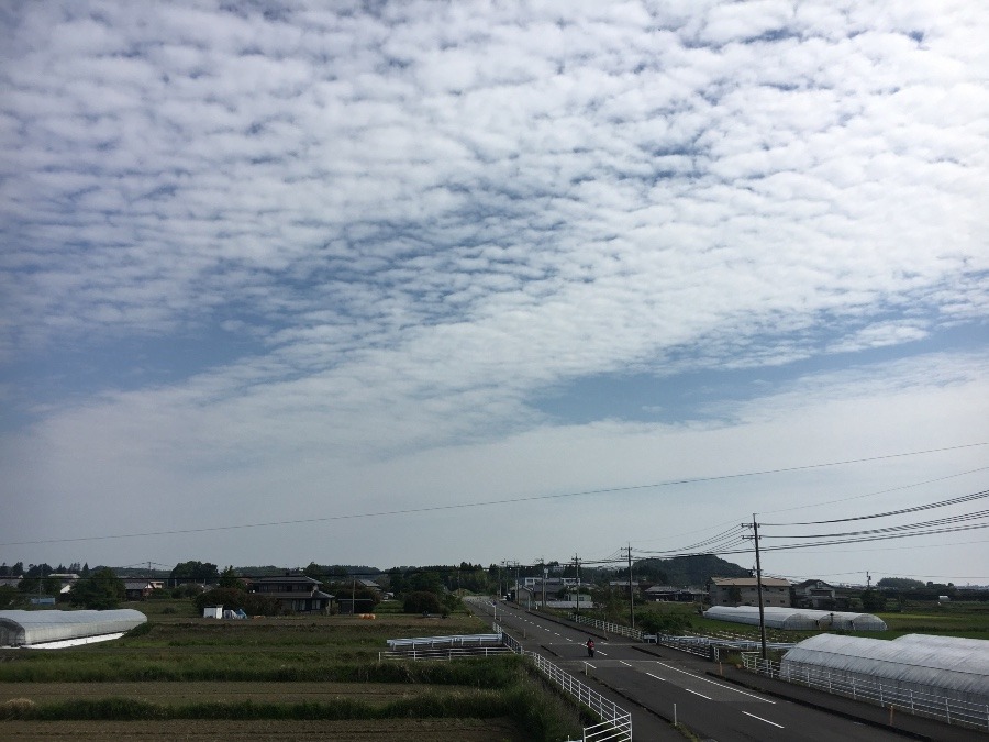 ⭕️空部→ 今日の空（≧∇≦）‼️602.