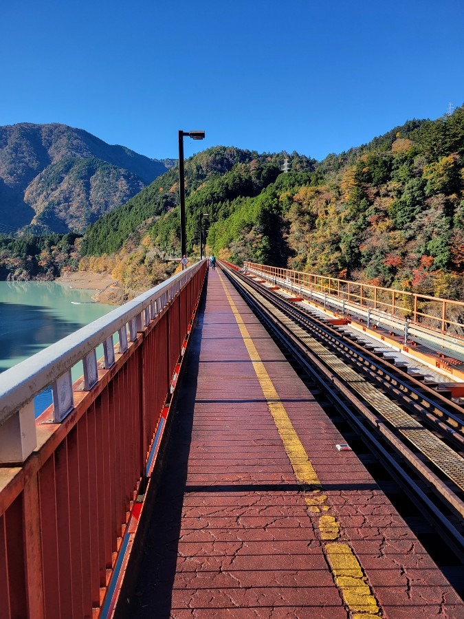 奥大井湖上駅周辺を歩くとこのような景色を楽しめます