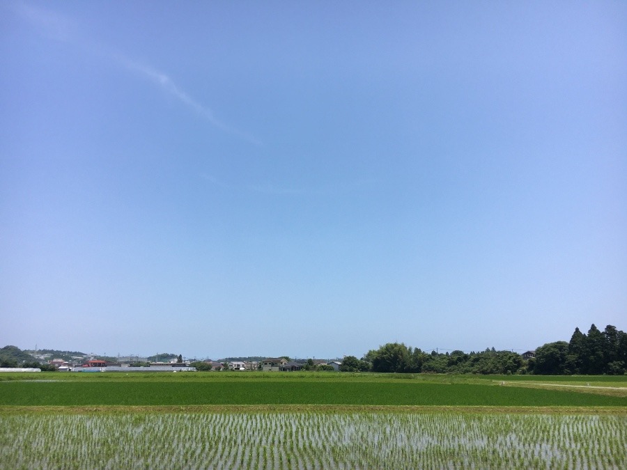 ⭕️空部→ 今日の空（≧∇≦）‼️613.